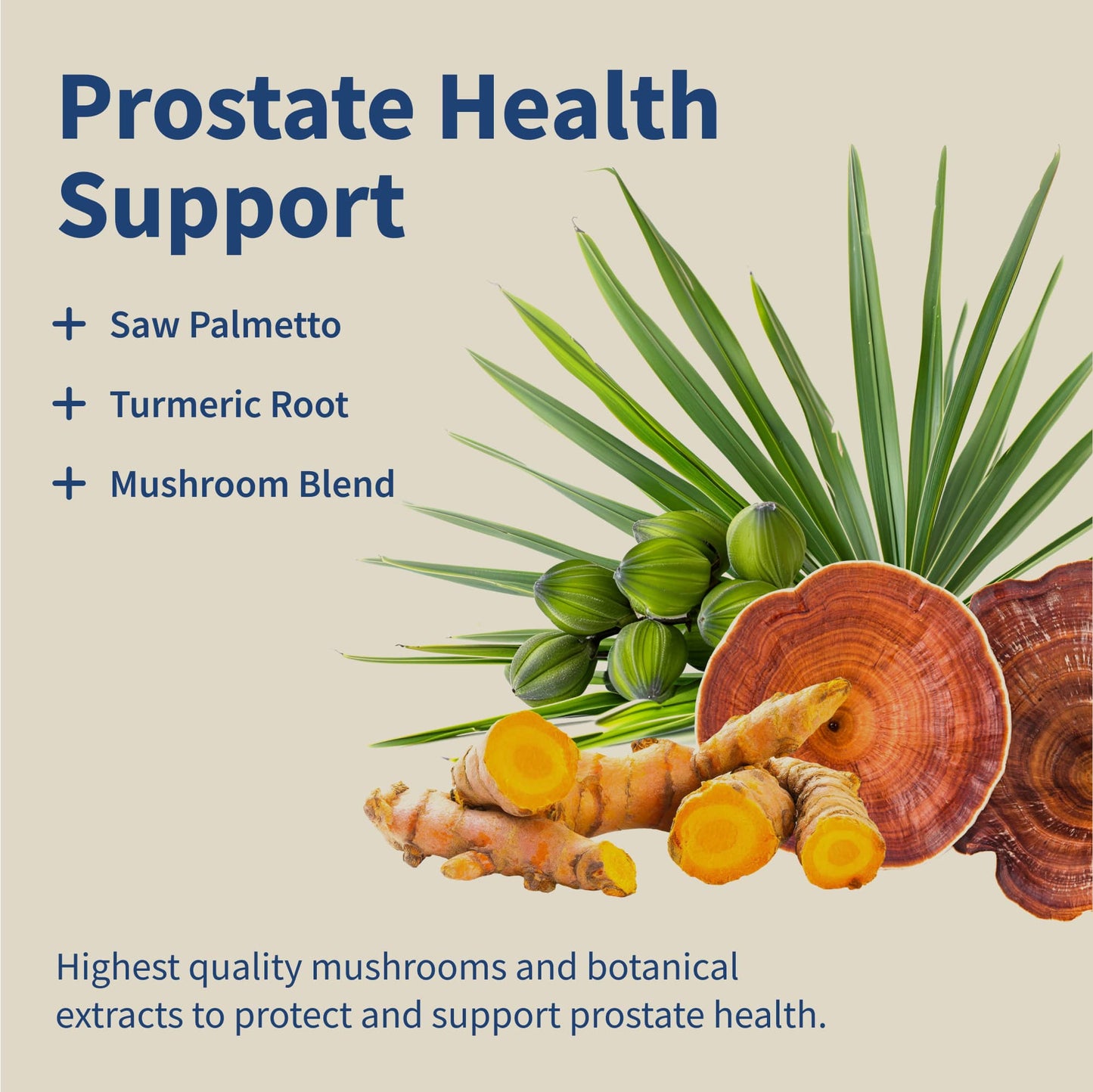 Prostate Health-Shop