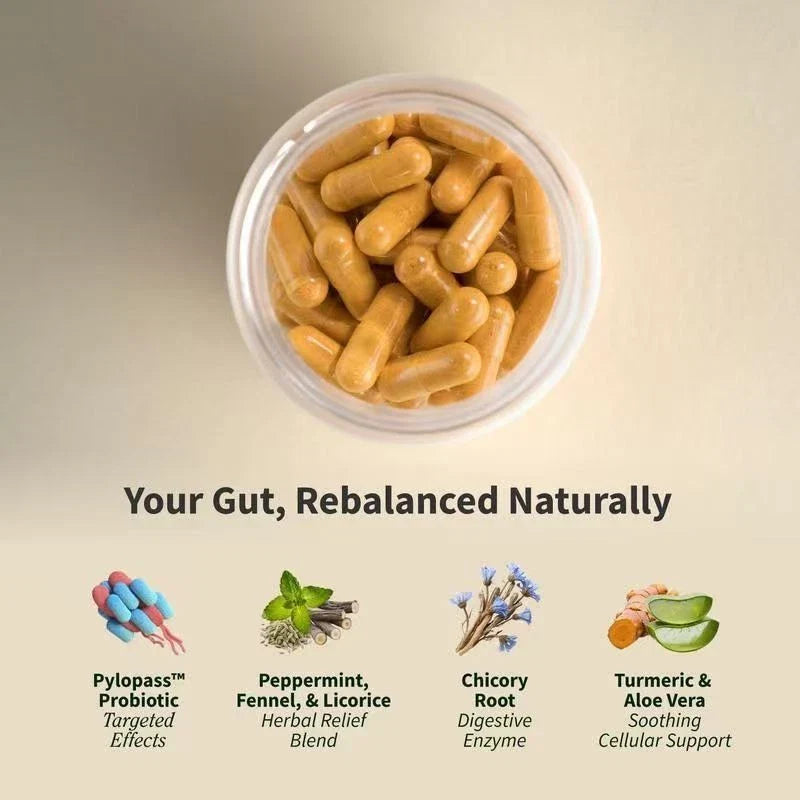 Gut Health & Spirulina Chlorella Bundle –Digestive, Detox & Antioxidant Support