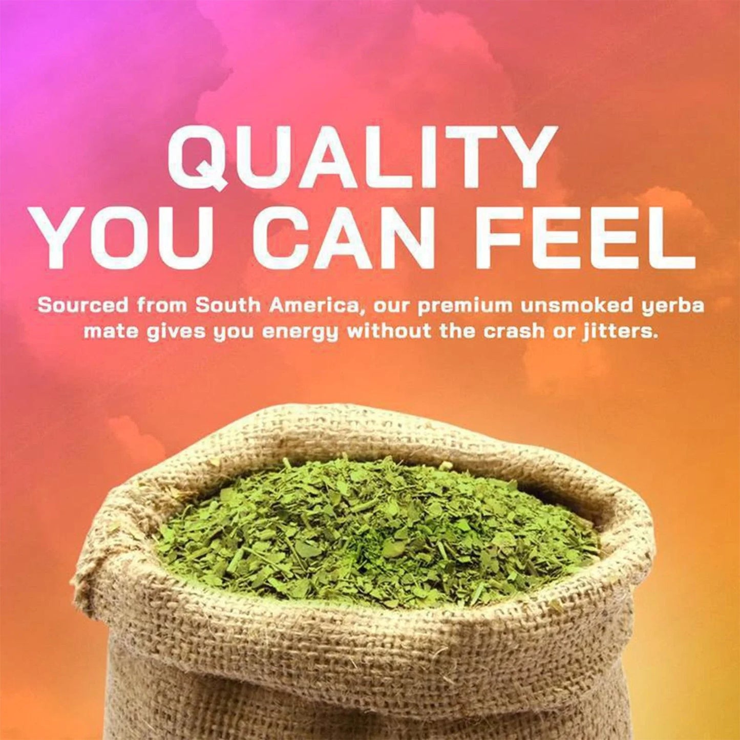 Yerba Magic Yerba Mate Pure 60 Capsules Clean Energy Gut Health Brainista