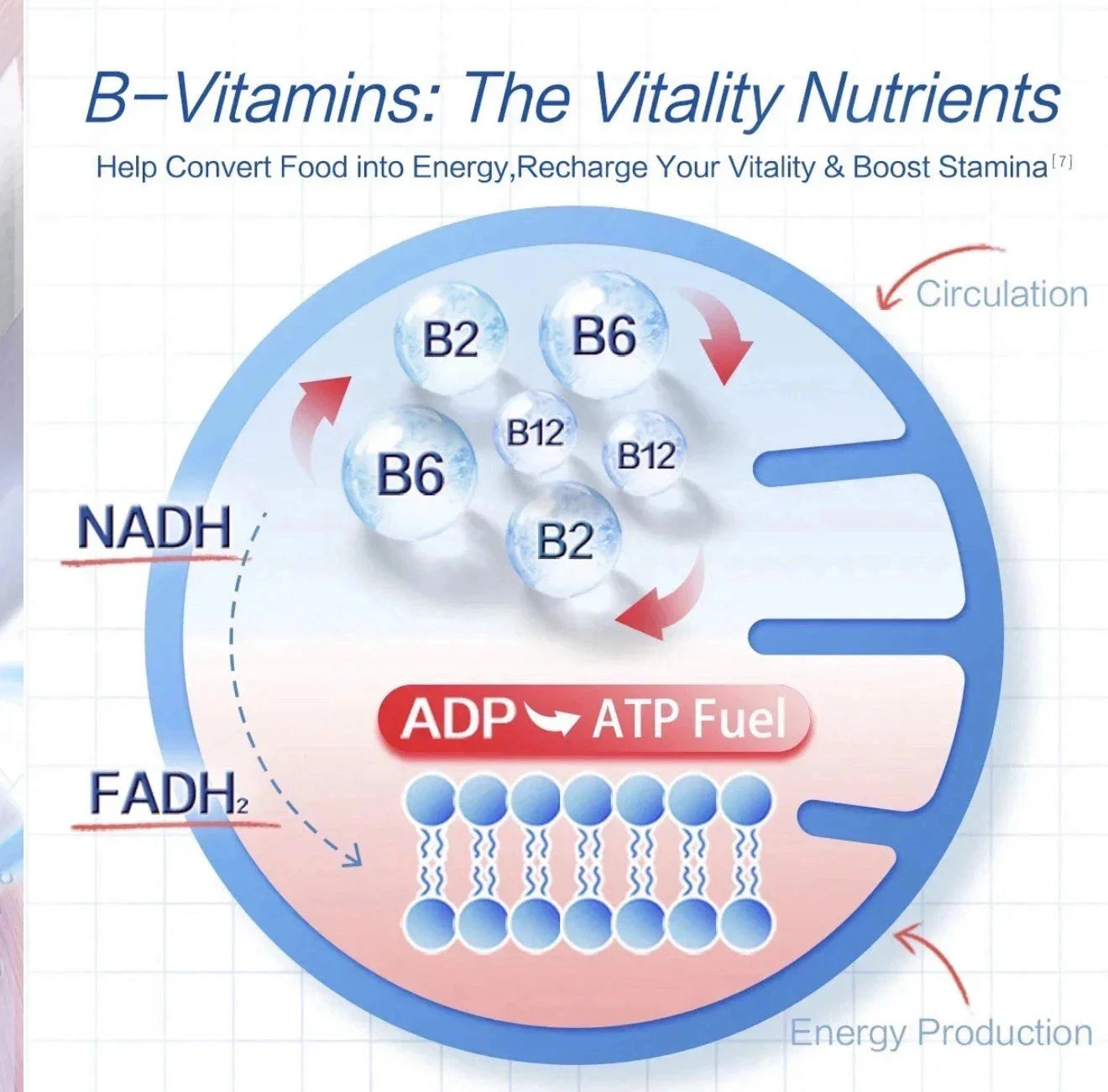 3 packs Move Free Advanced Joint Health 7-in-1 Combined Set for Men-Shop