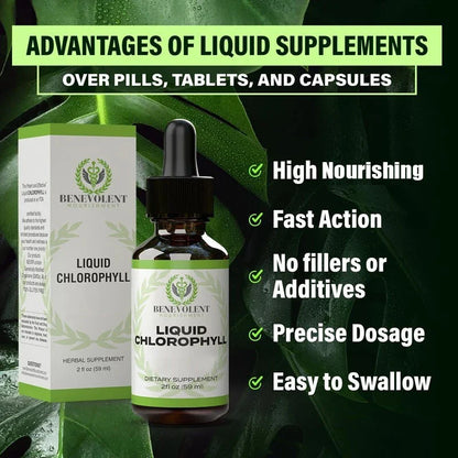 Benevolent Chlorophyll Liquid Drops Organic Detox & Immune Support, 2 Oz Drops