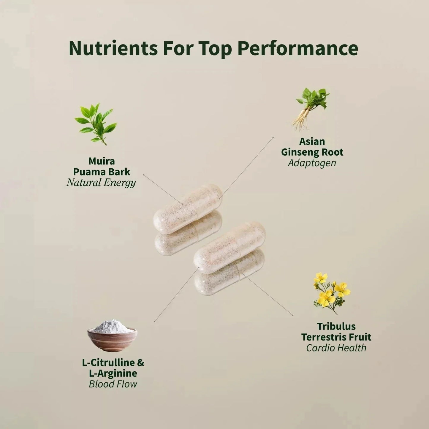 Nitric Oxide Booster Supplement - L-Arginine, L-Citrulline 1500mg - 60 Capsules-Shop